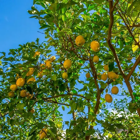 דירה Yourhome - Tramonto Sul Golfo *